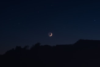 silhouette of trees during night time