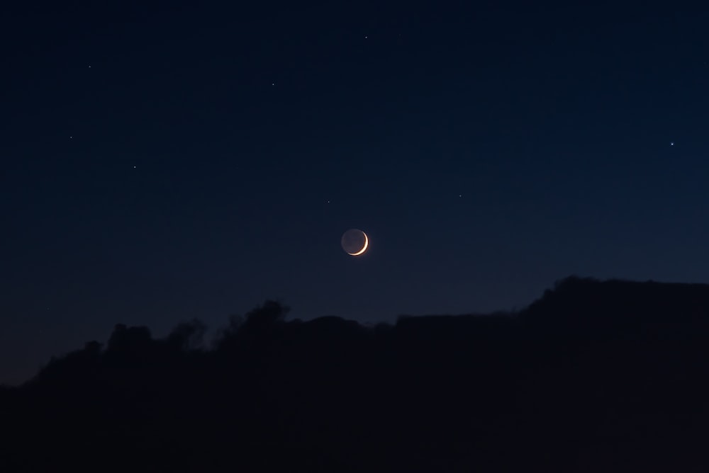 silhouette of trees during night time