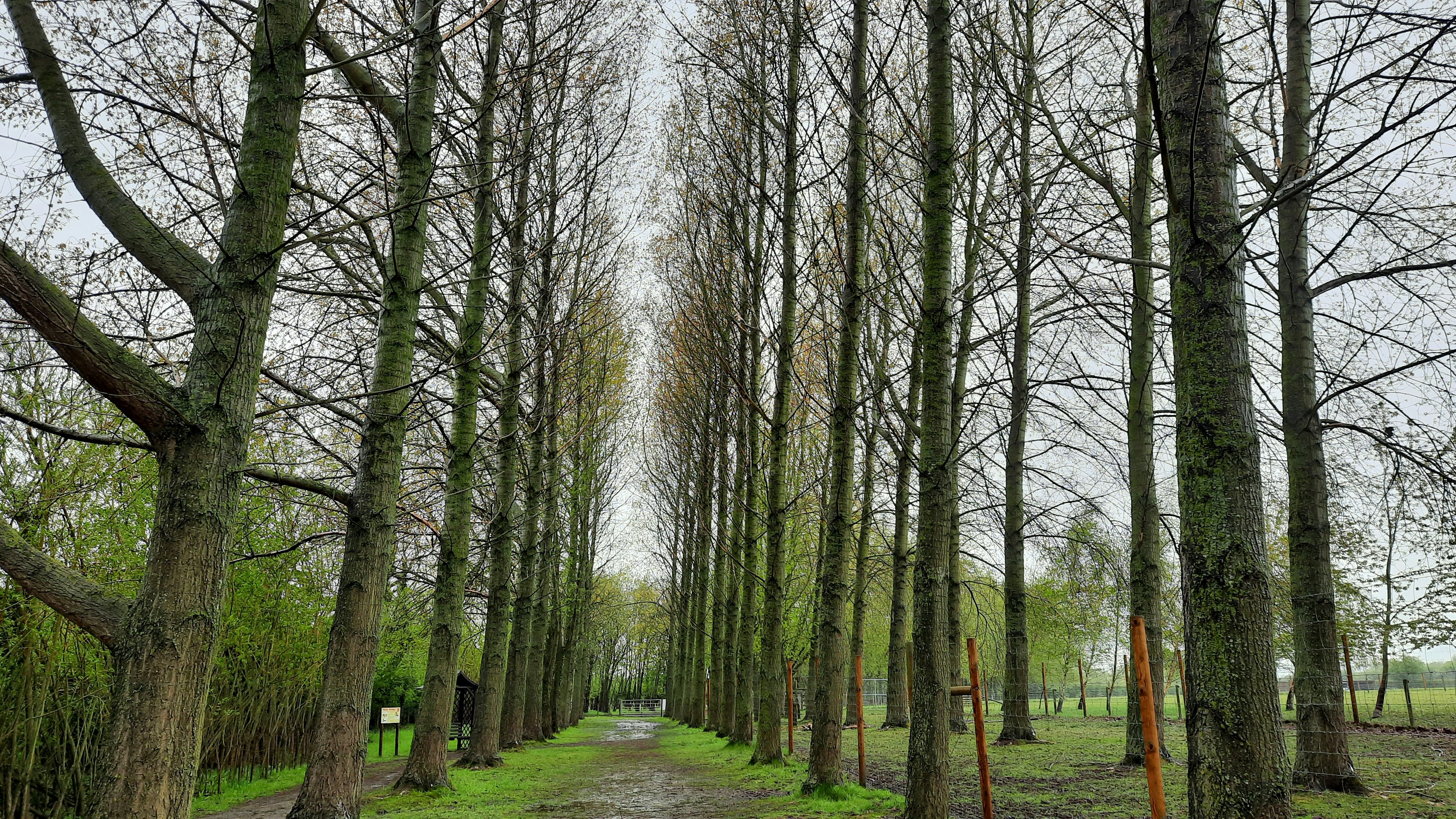 Landschapspark Vechtvliet