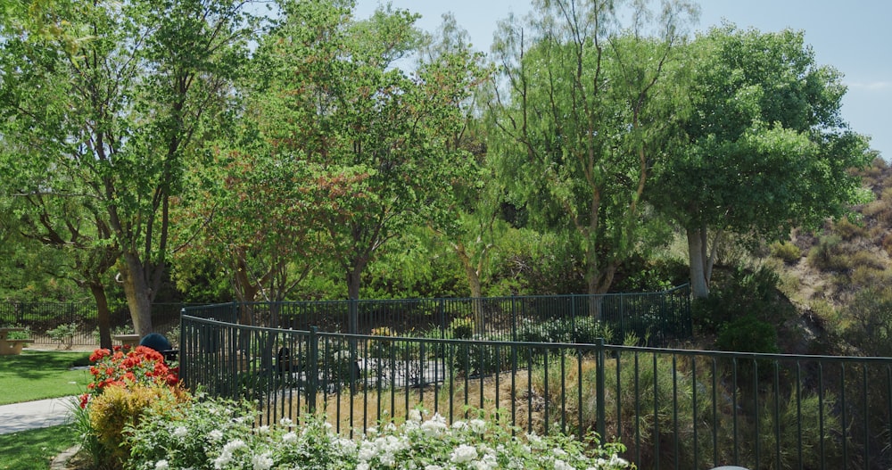 green trees beside black metal fence