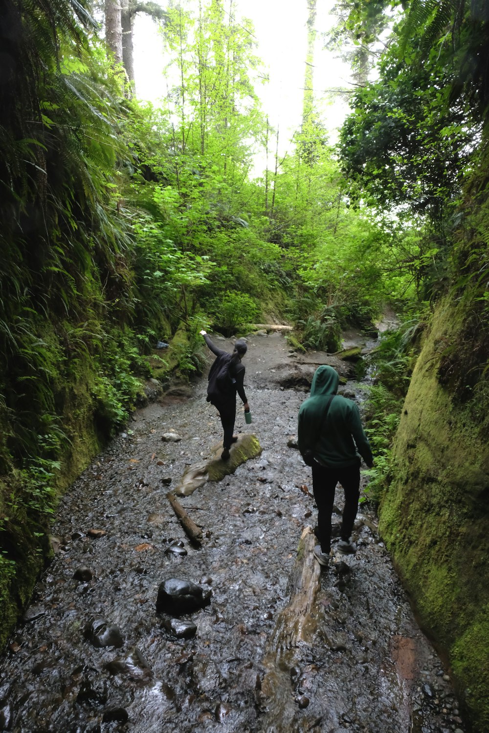 2 men walking on pathway between green trees during daytime