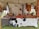 A market stall under a tent displays various handmade leather goods including sandals, bags, and straps. The items are organized neatly on a table covered with a cowhide. Brightly colored leather keychains or small crafts hang from a rod above. The scene suggests a rustic or traditional setting with a focus on artisanal craftsmanship.