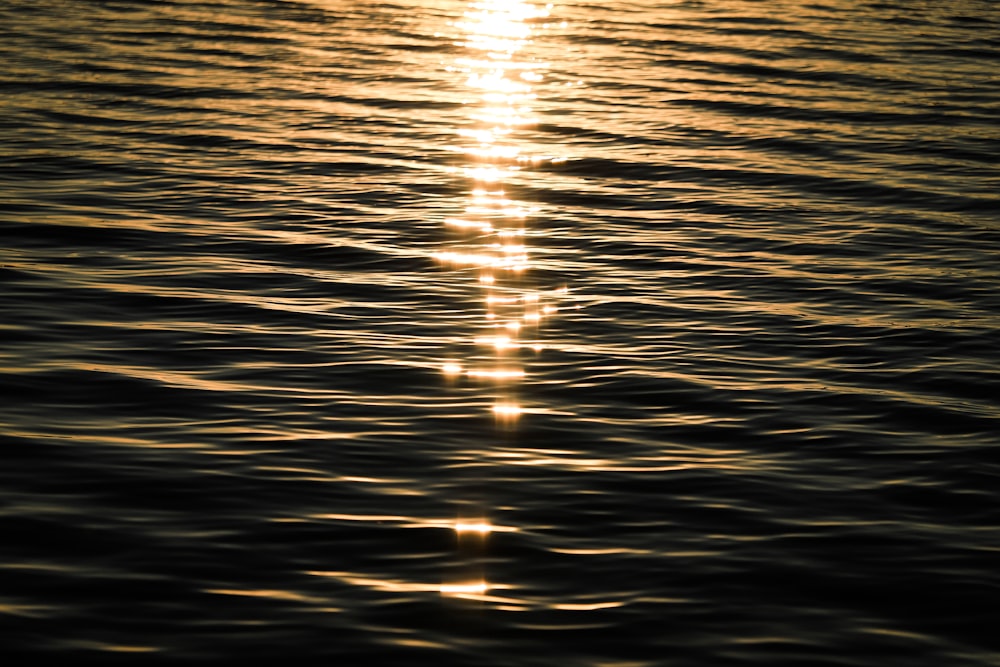 body of water during sunset