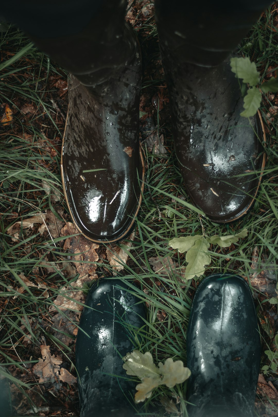 black leather shoes on green grass