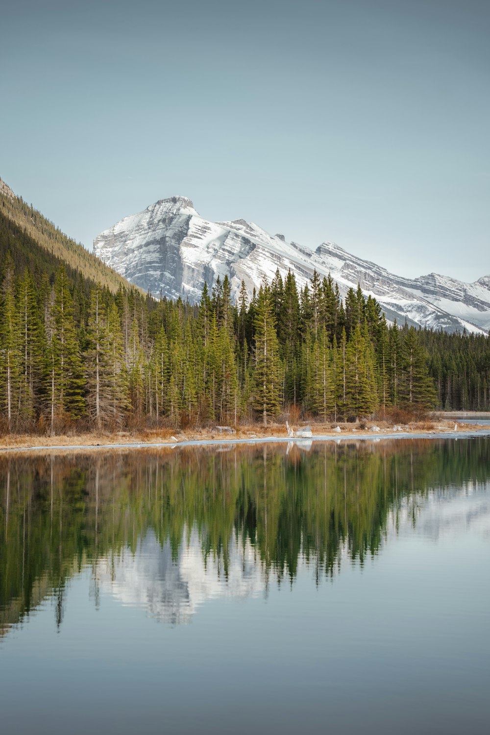 green pine trees near lake and snow covered mountain during daytime