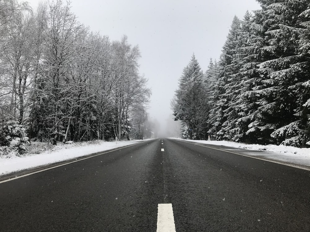 gray asphalt road between trees covered with snow during daytime