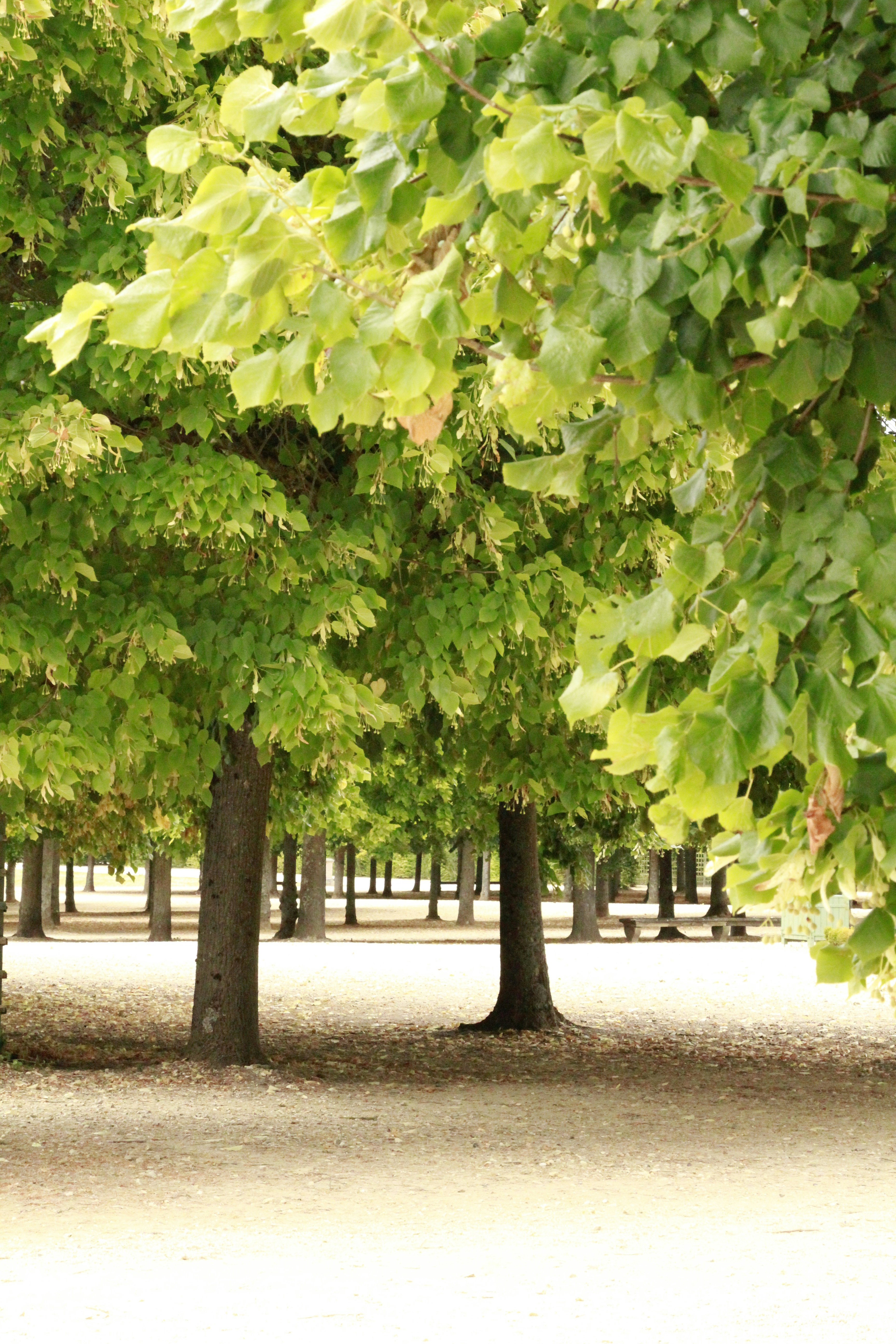 Photo by oscar_se_balade