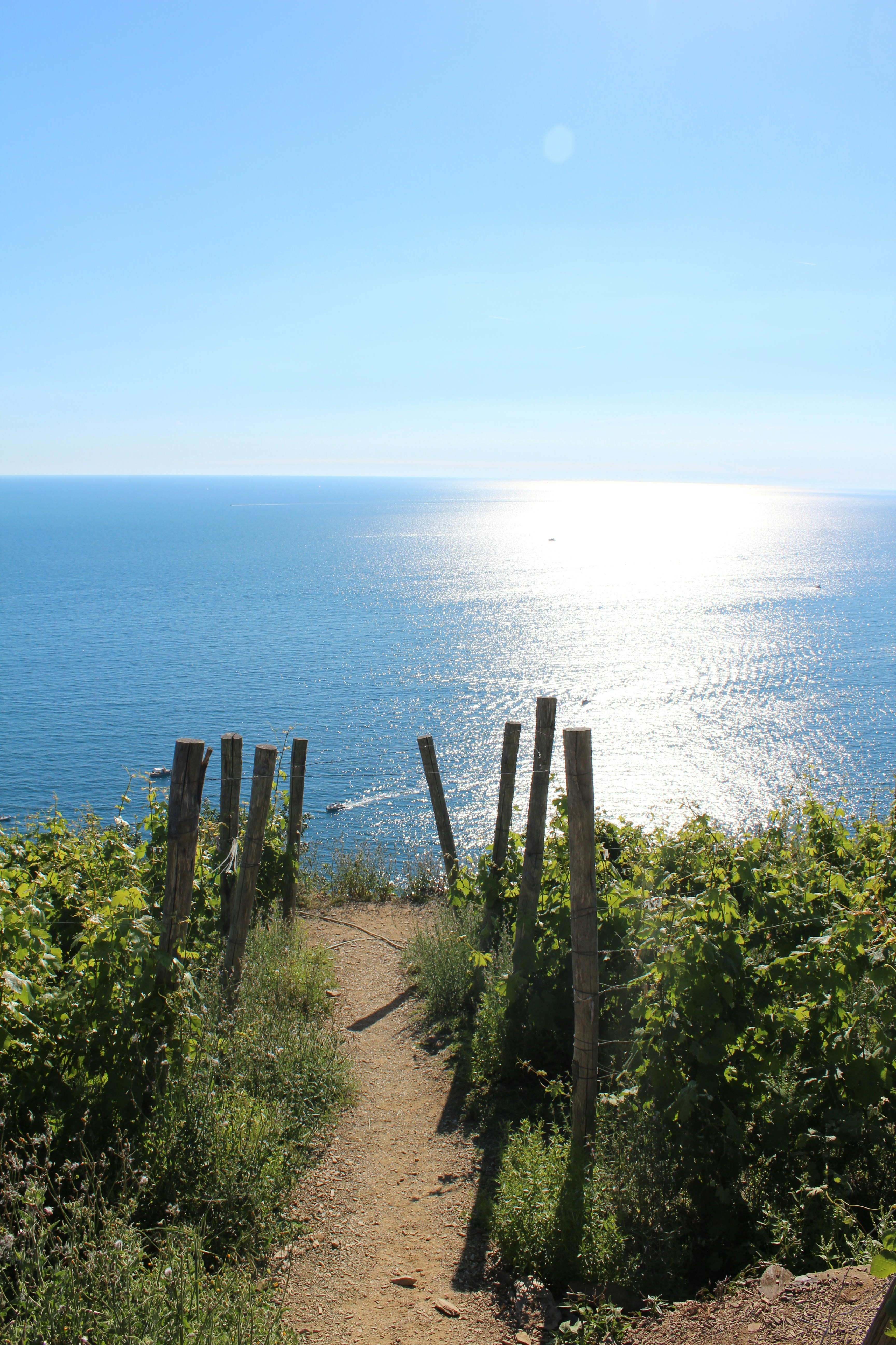 Photo by oscar_se_balade