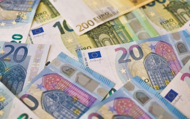 20 euro bill on white and blue textile