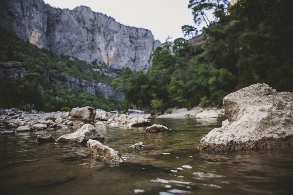 river between rocky mountain during daytime