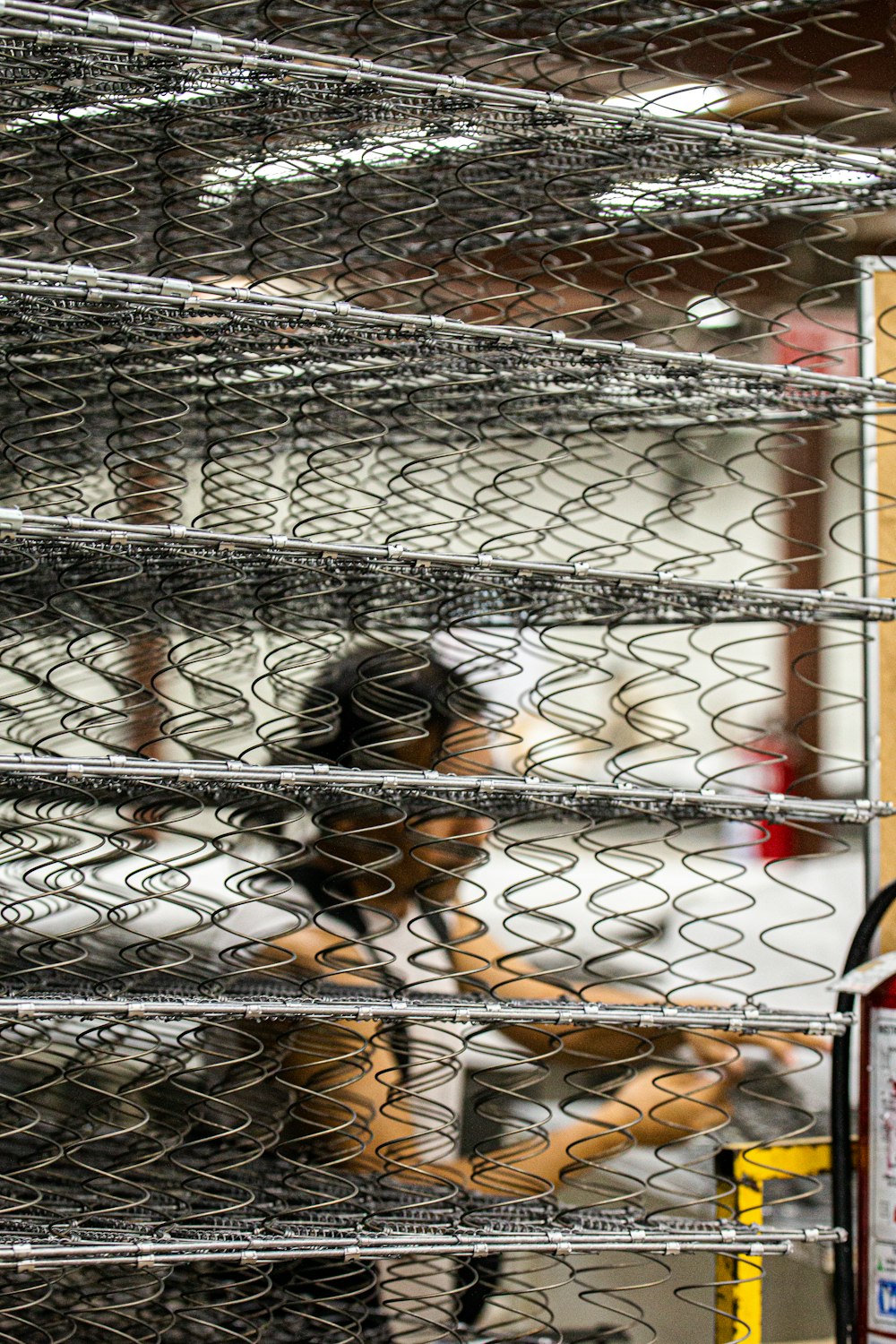 black and brown bird in cage