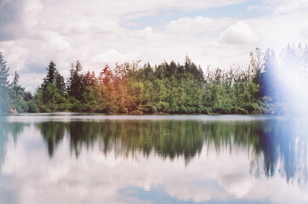 green trees beside lake under white clouds during daytime