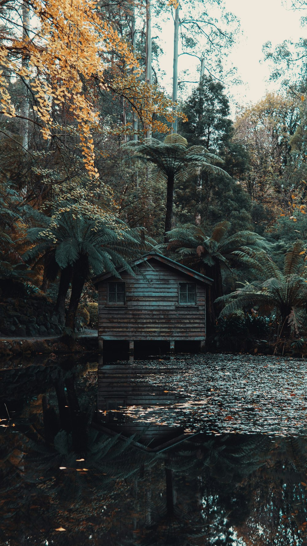 Casa de madera marrón en el lago