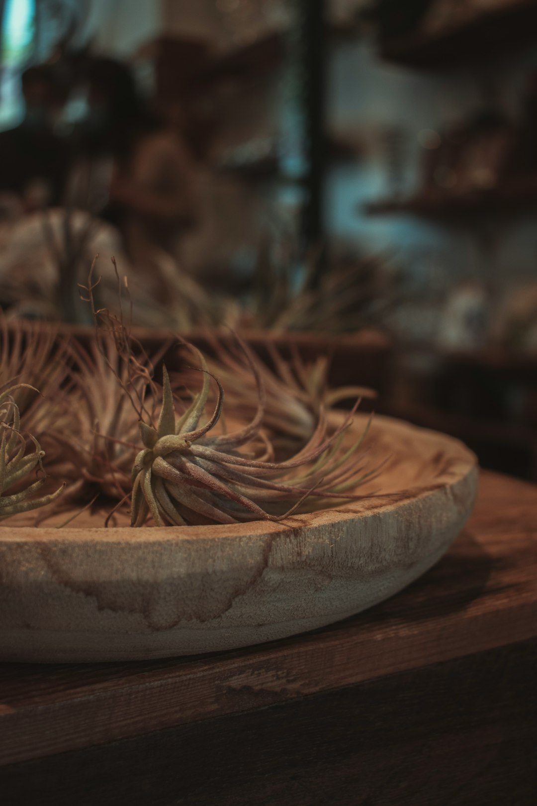 brown dried leaves on brown wooden bowl