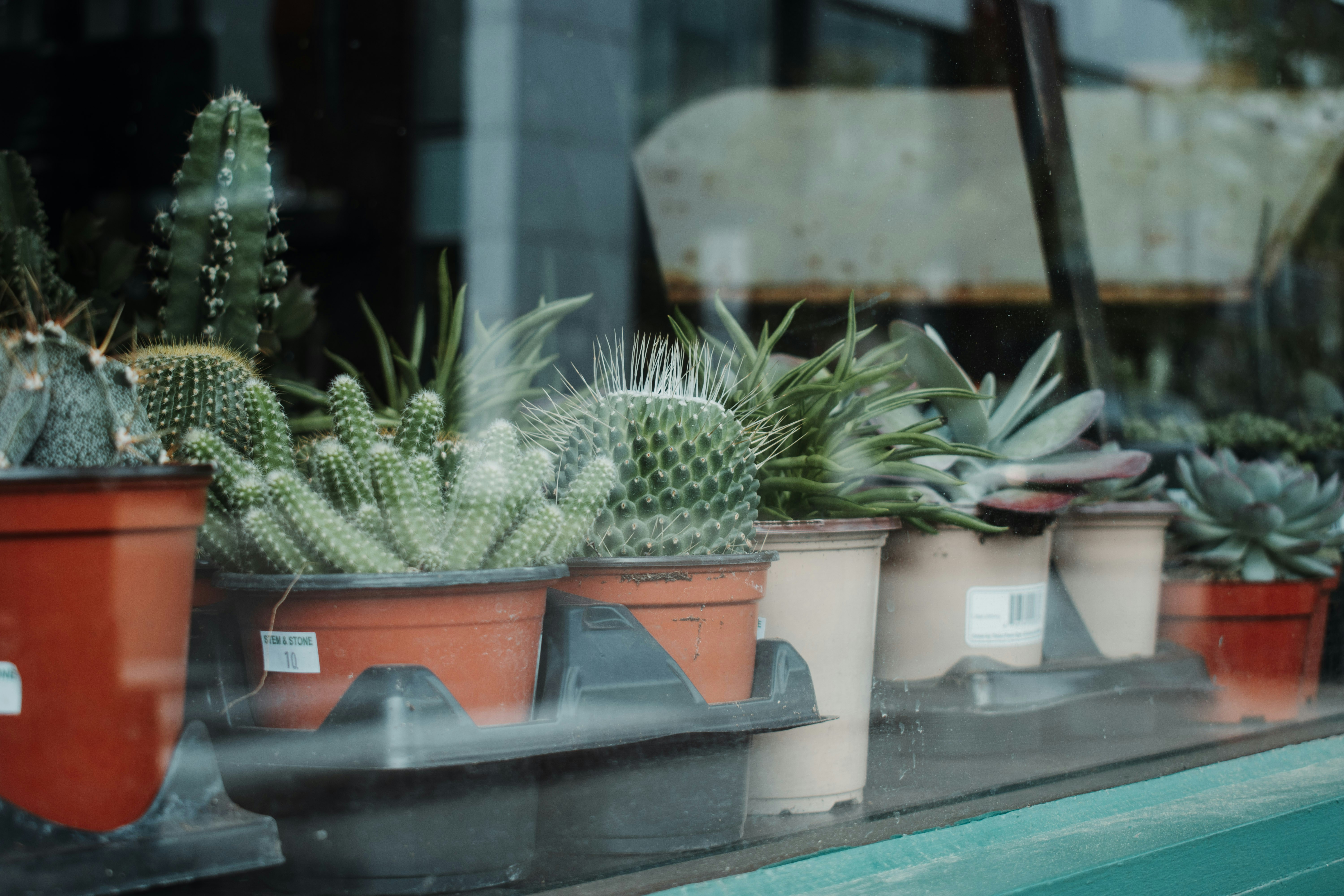 Photo by mariahhewines