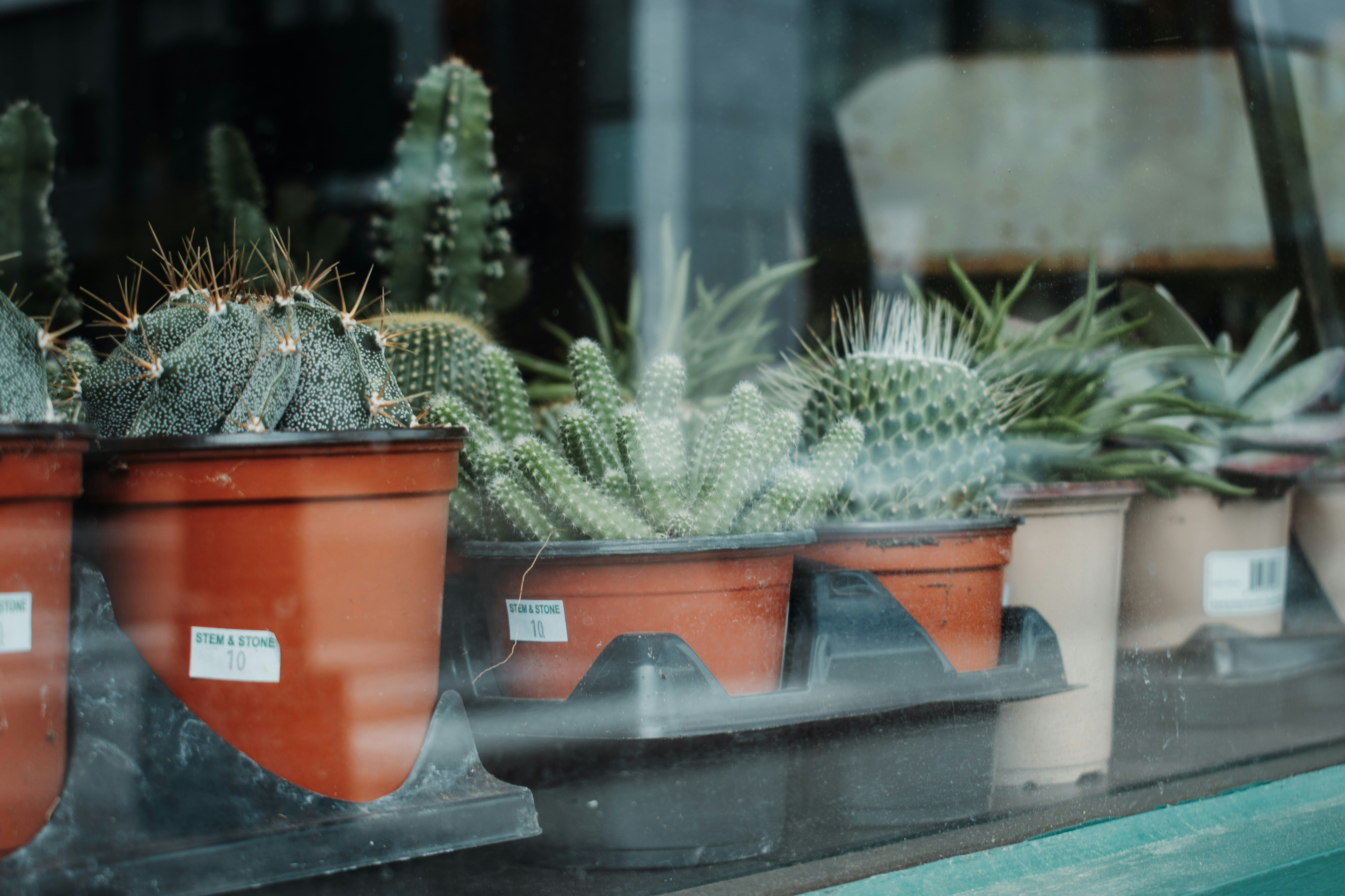 Photo by mariahhewines