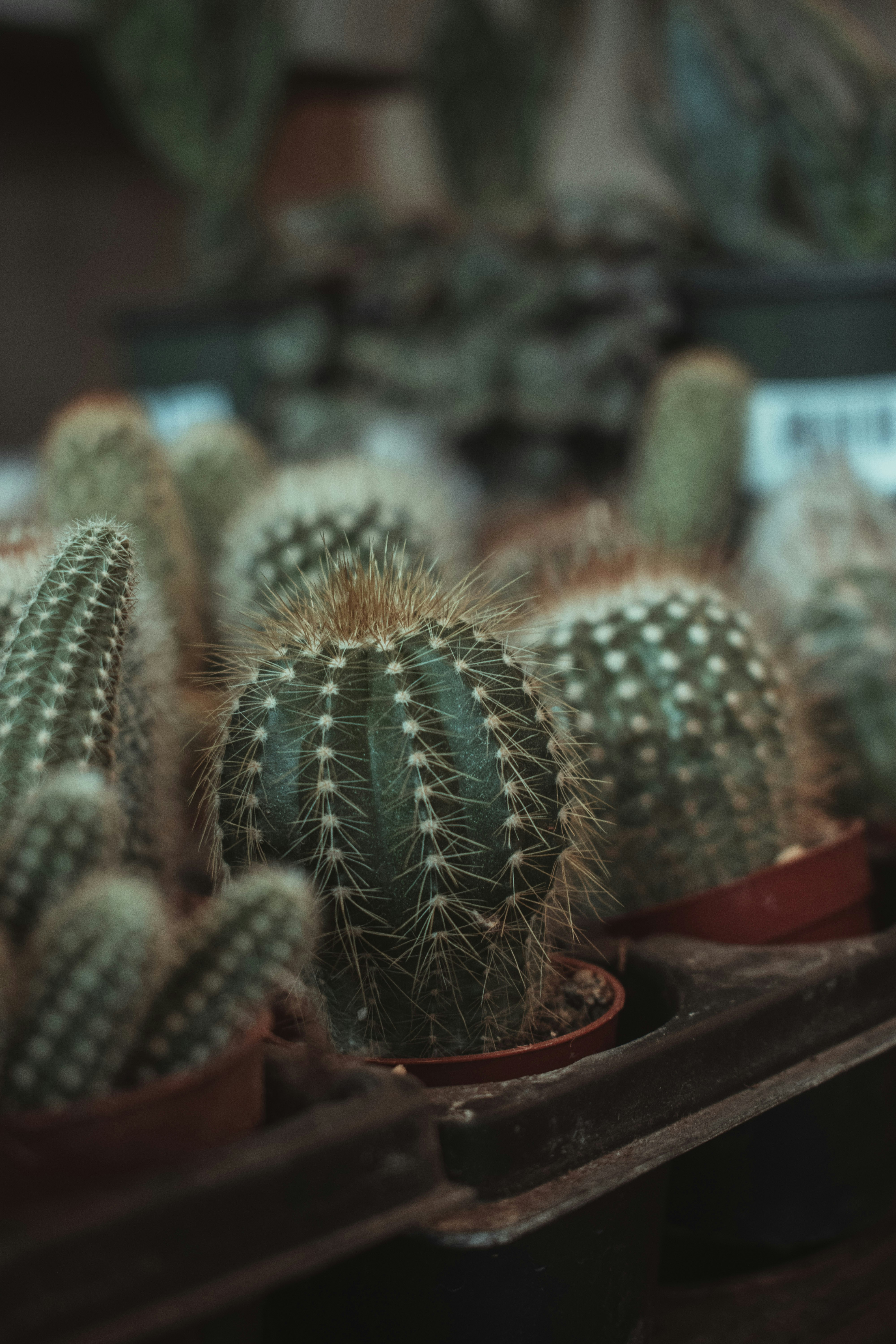 Photo by mariahhewines