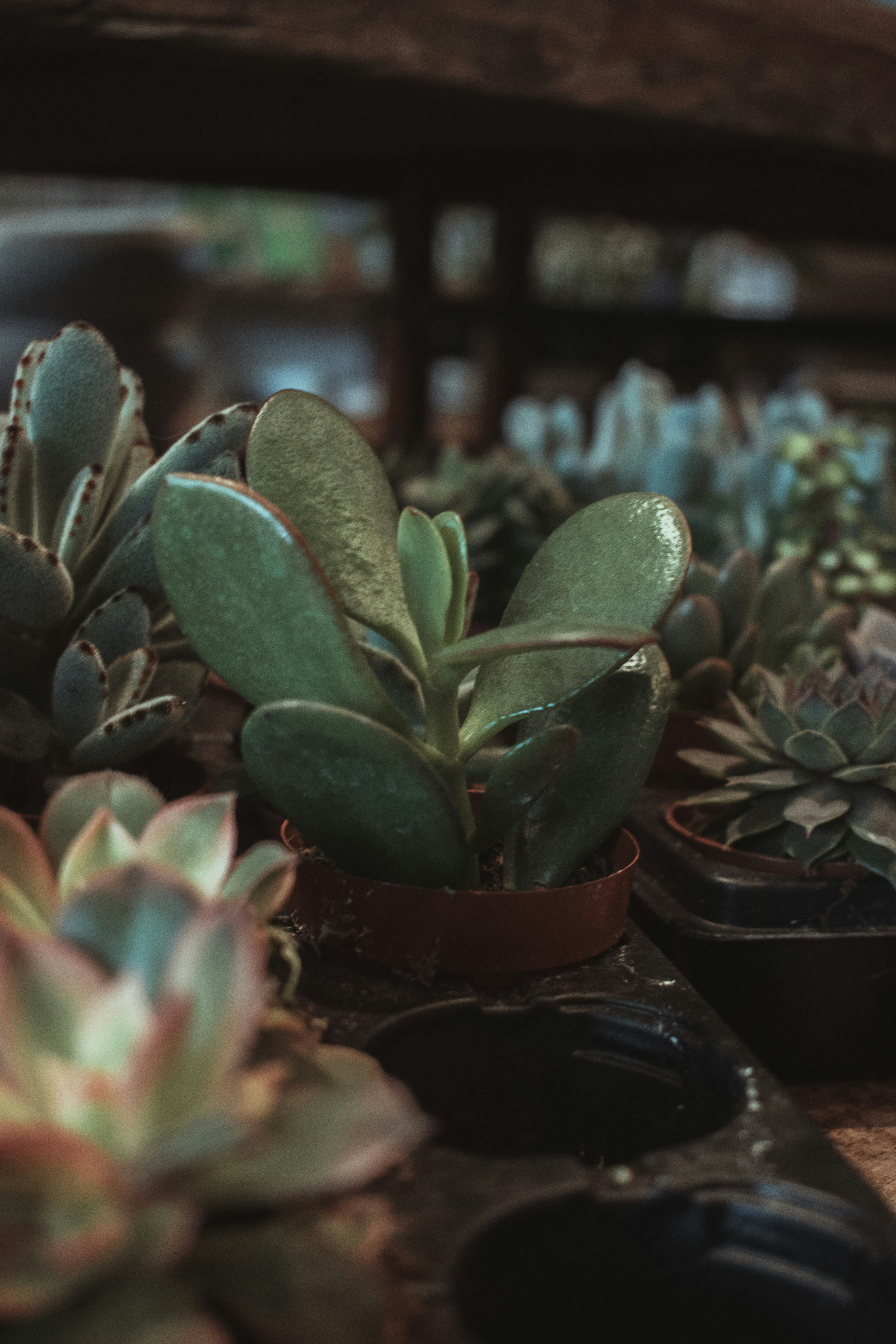 Photo by mariahhewines