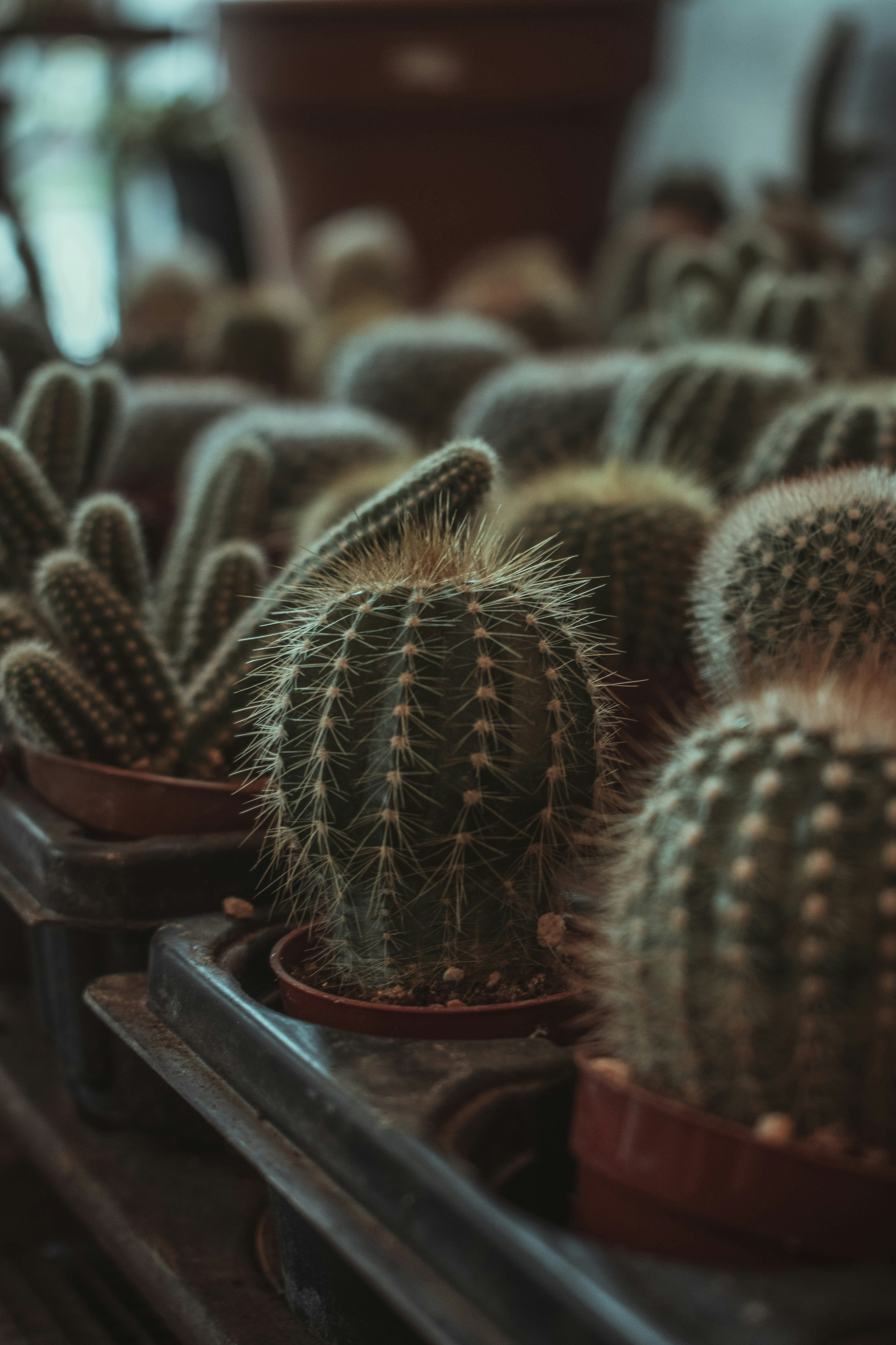 Photo by mariahhewines