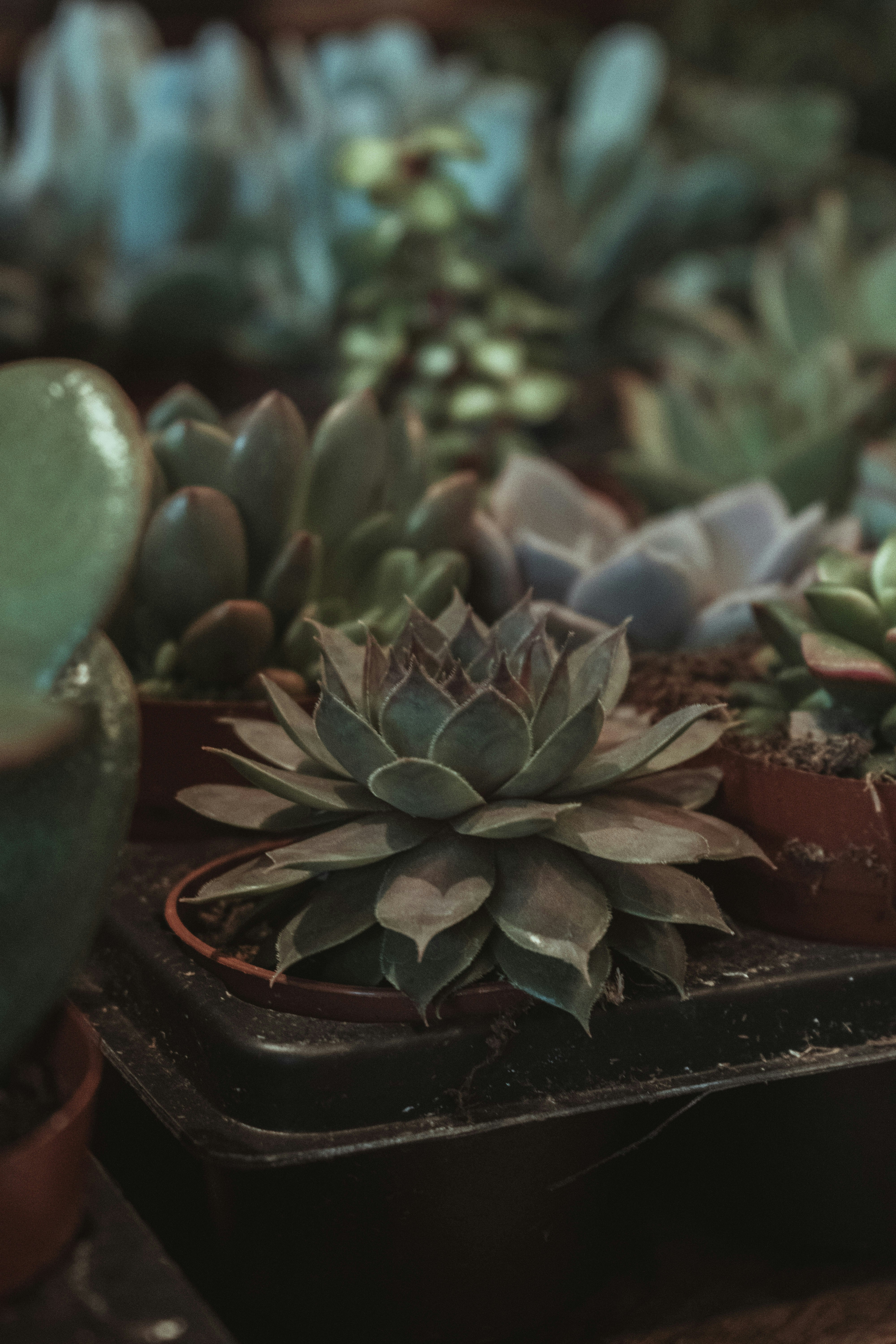 Photo by mariahhewines