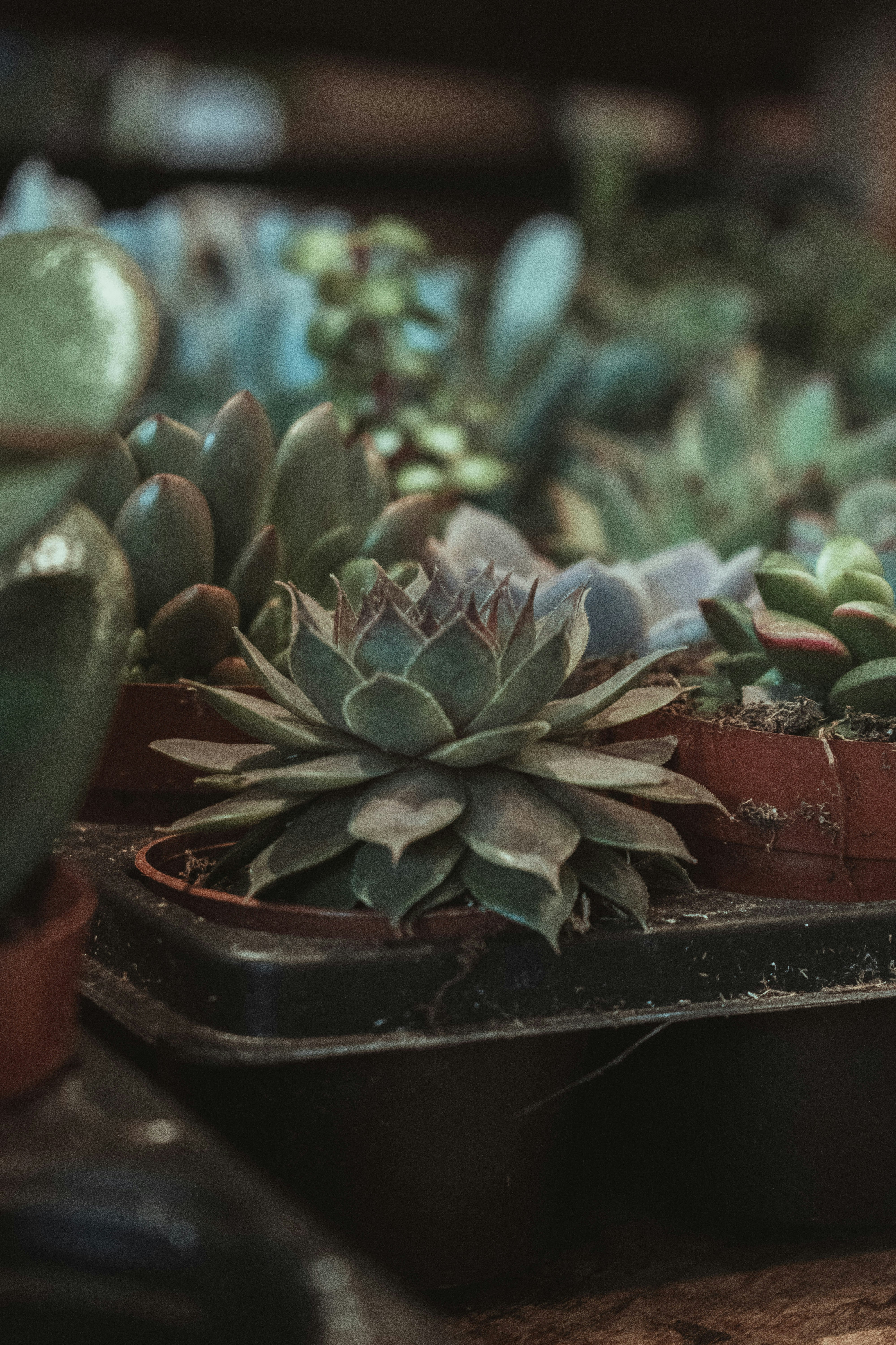 Photo by mariahhewines