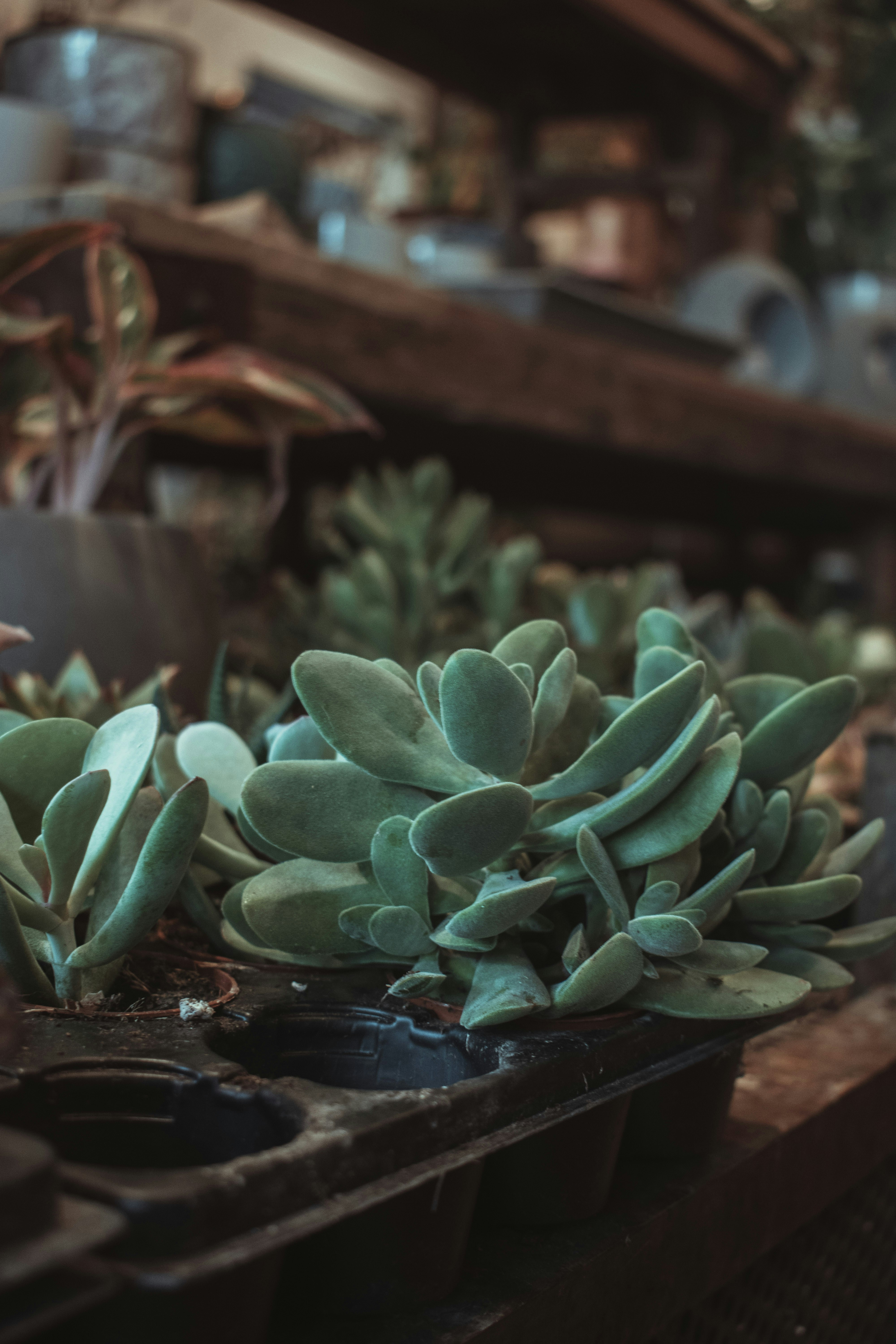 Photo by mariahhewines