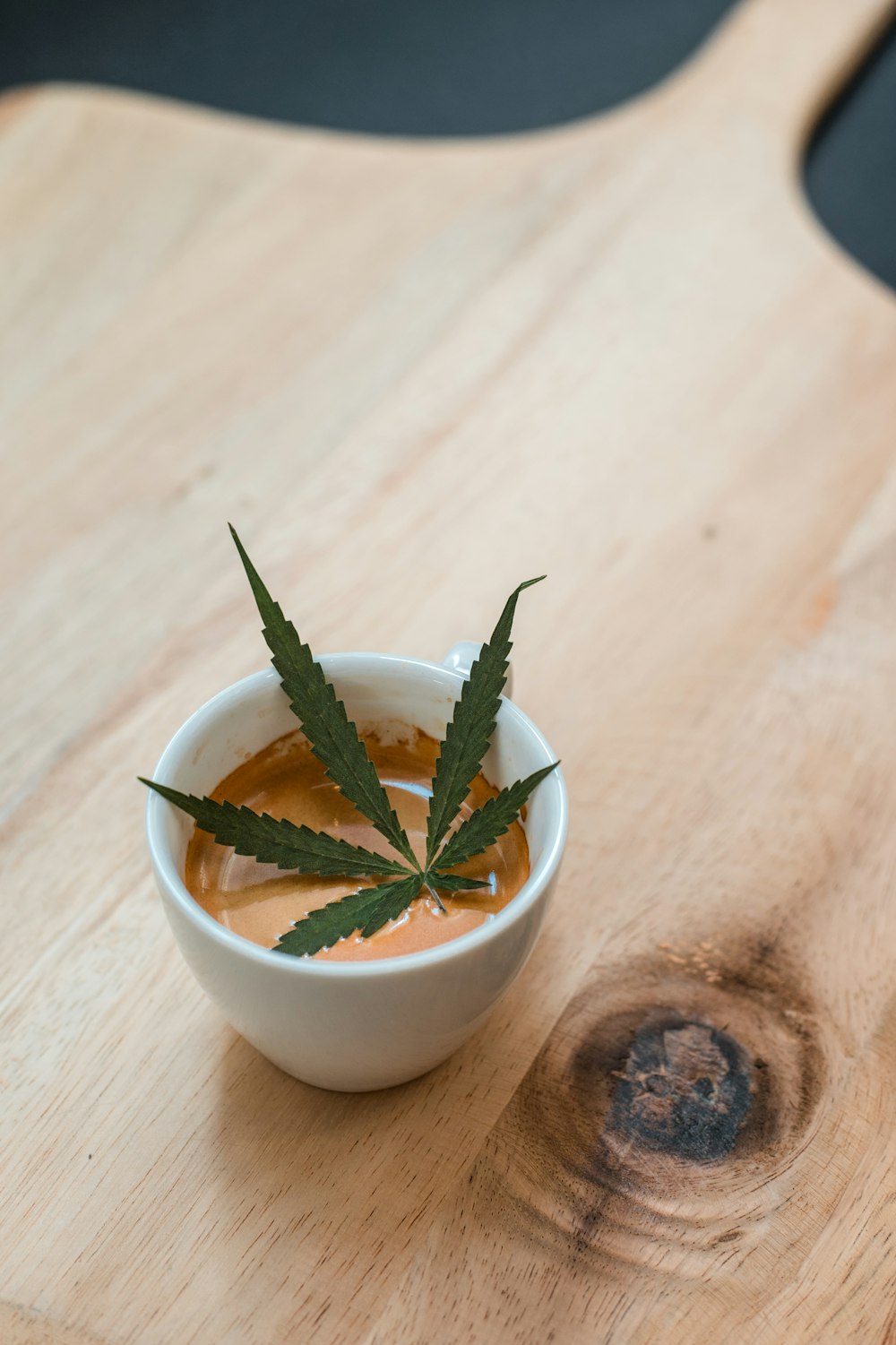 hoja verde en cuenco de cerámica blanca