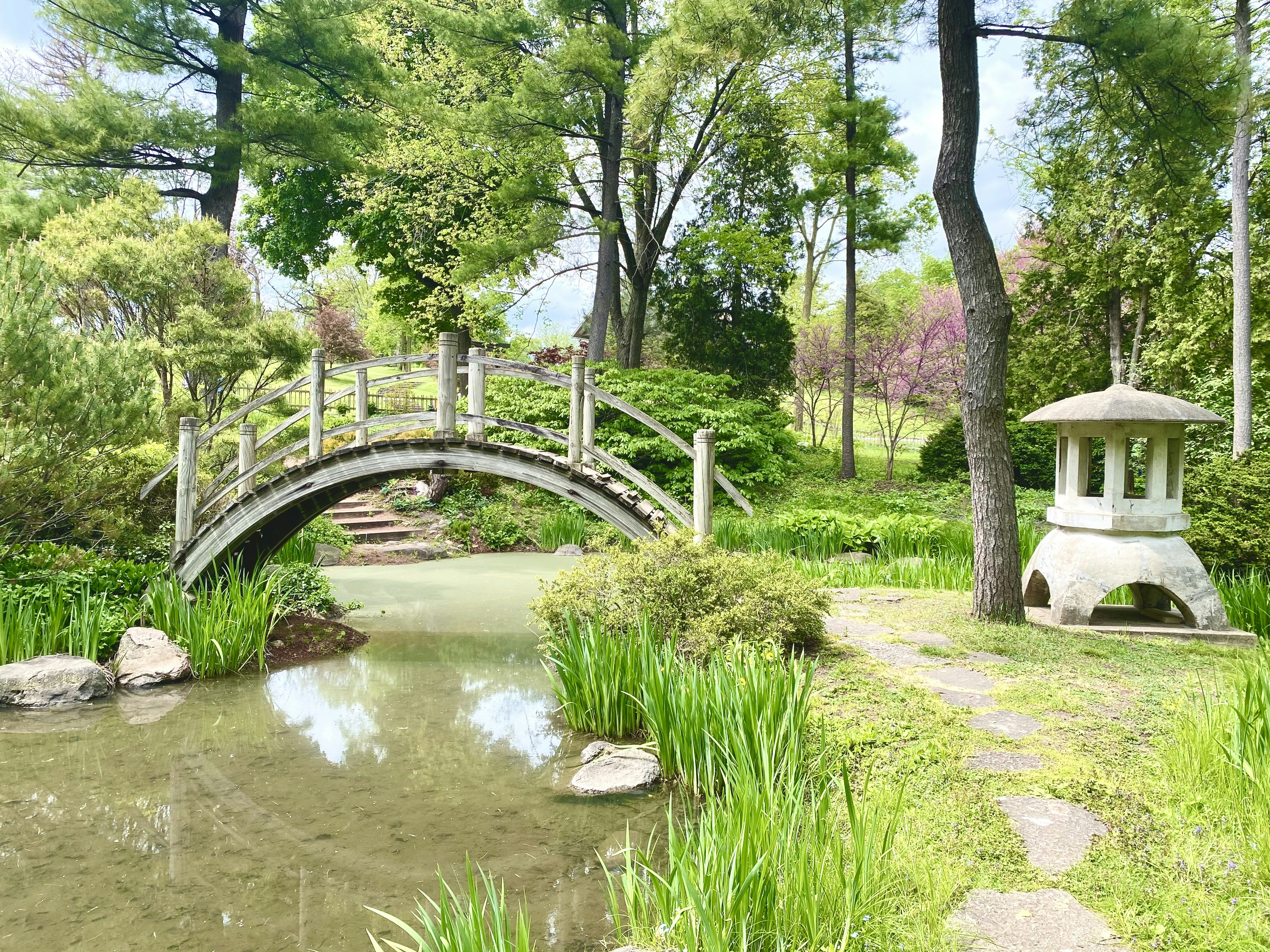 Photo by huangjingrain