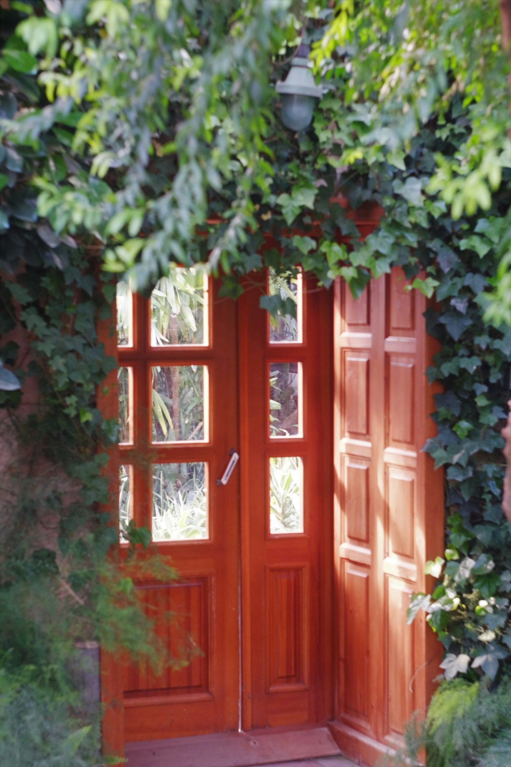 porta de madeira vermelha com videiras verdes
