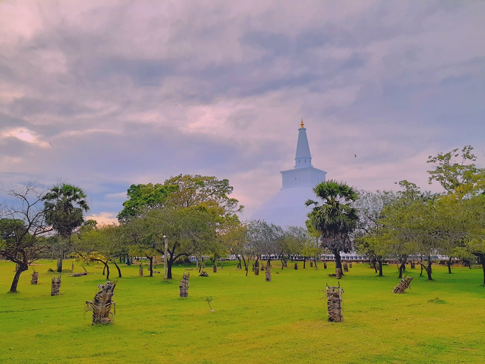 green grass field with trees under white clouds during daytime