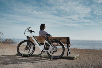 man in black shirt sitting on brown wooden bench beside black and white bicycle during daytime