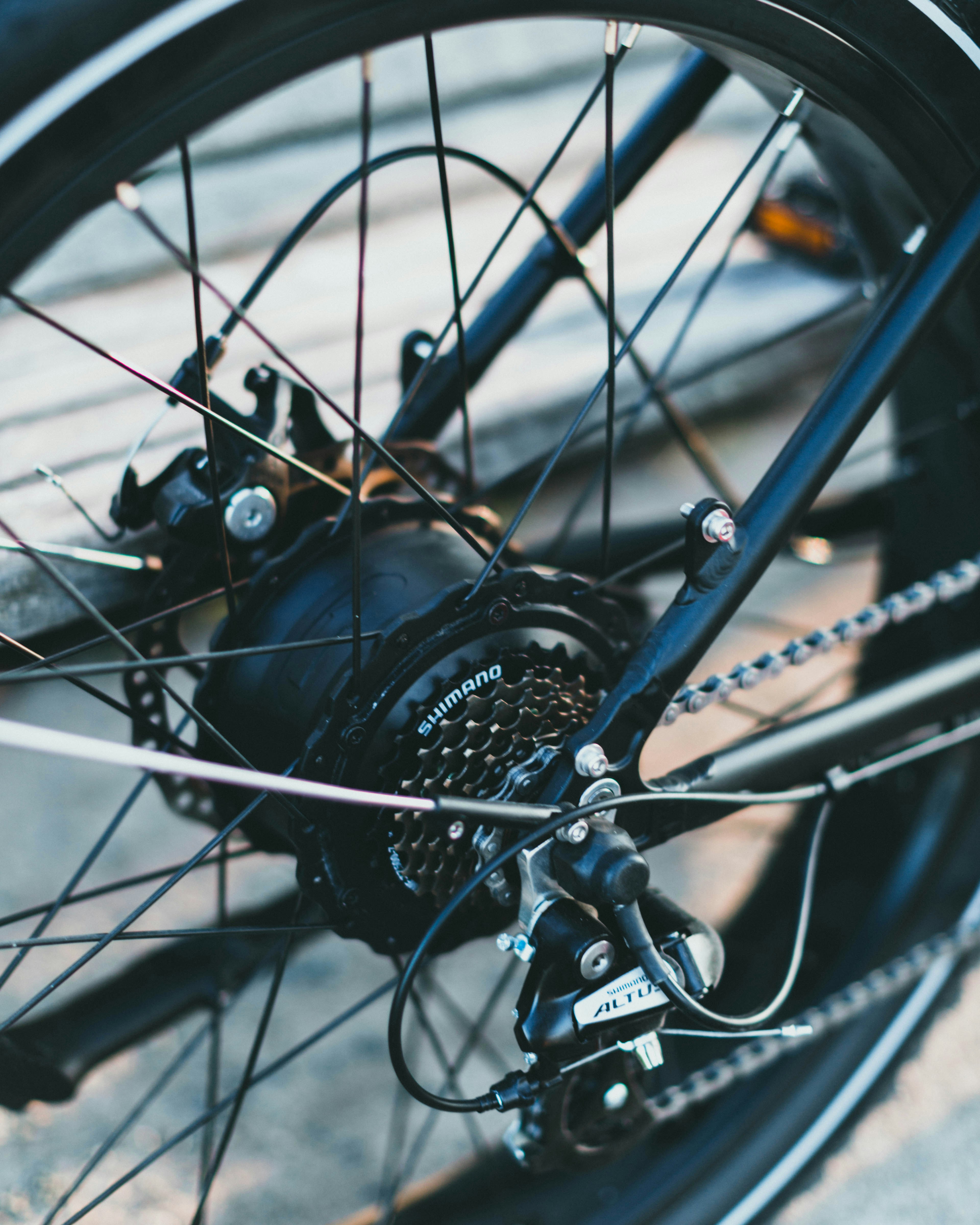 Photo by theshuttervision