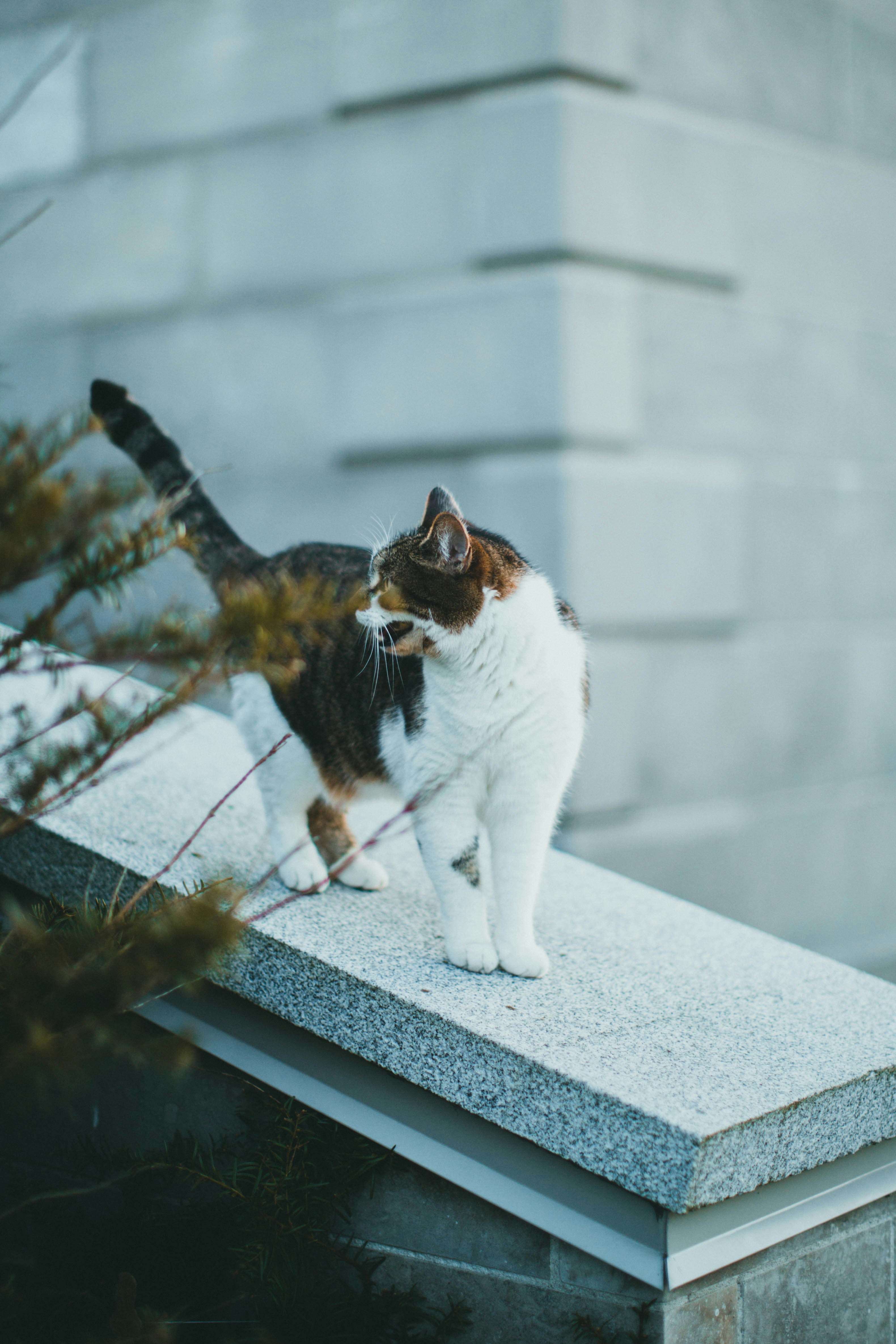 Photo by theshuttervision