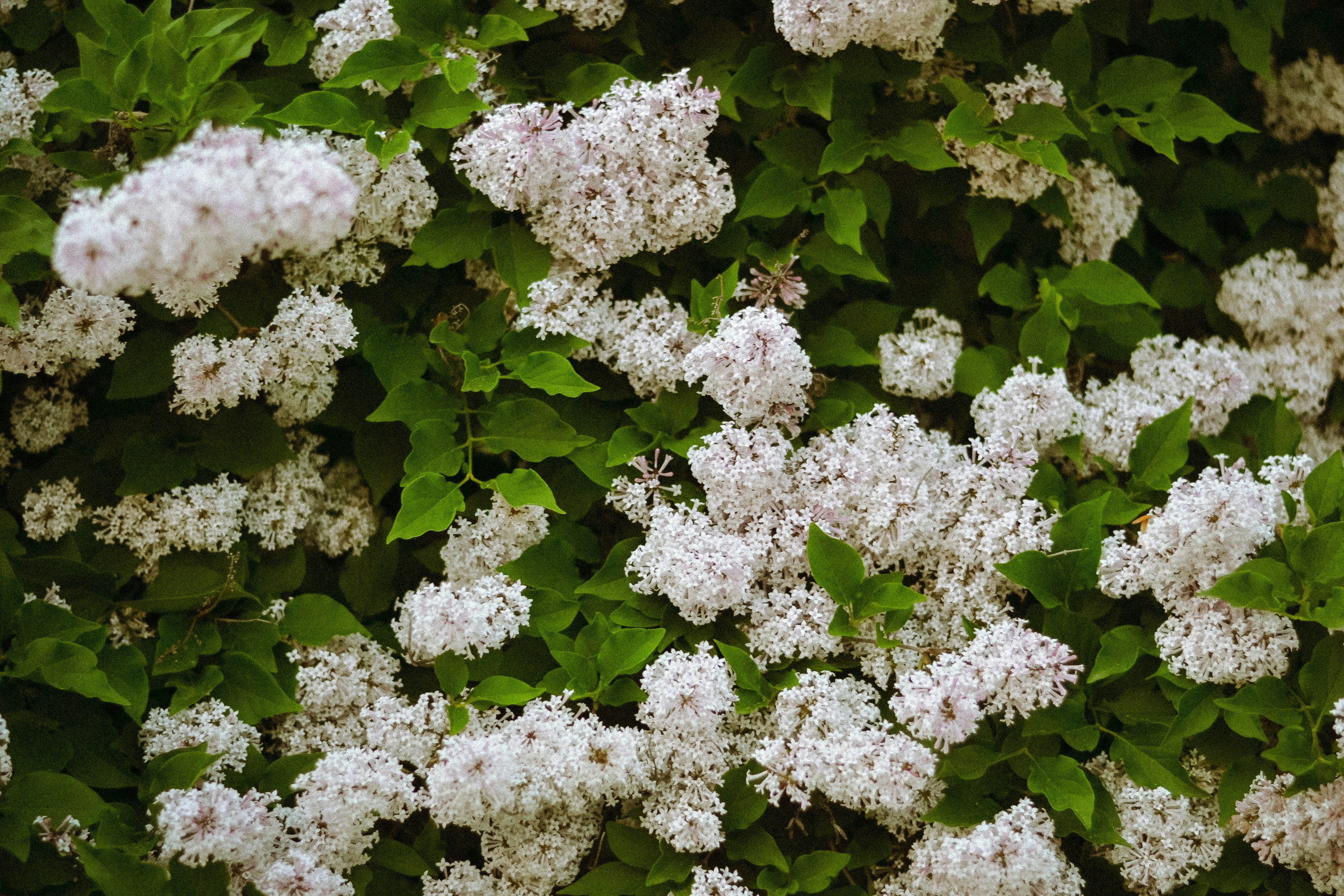 Photo by emilypenner19