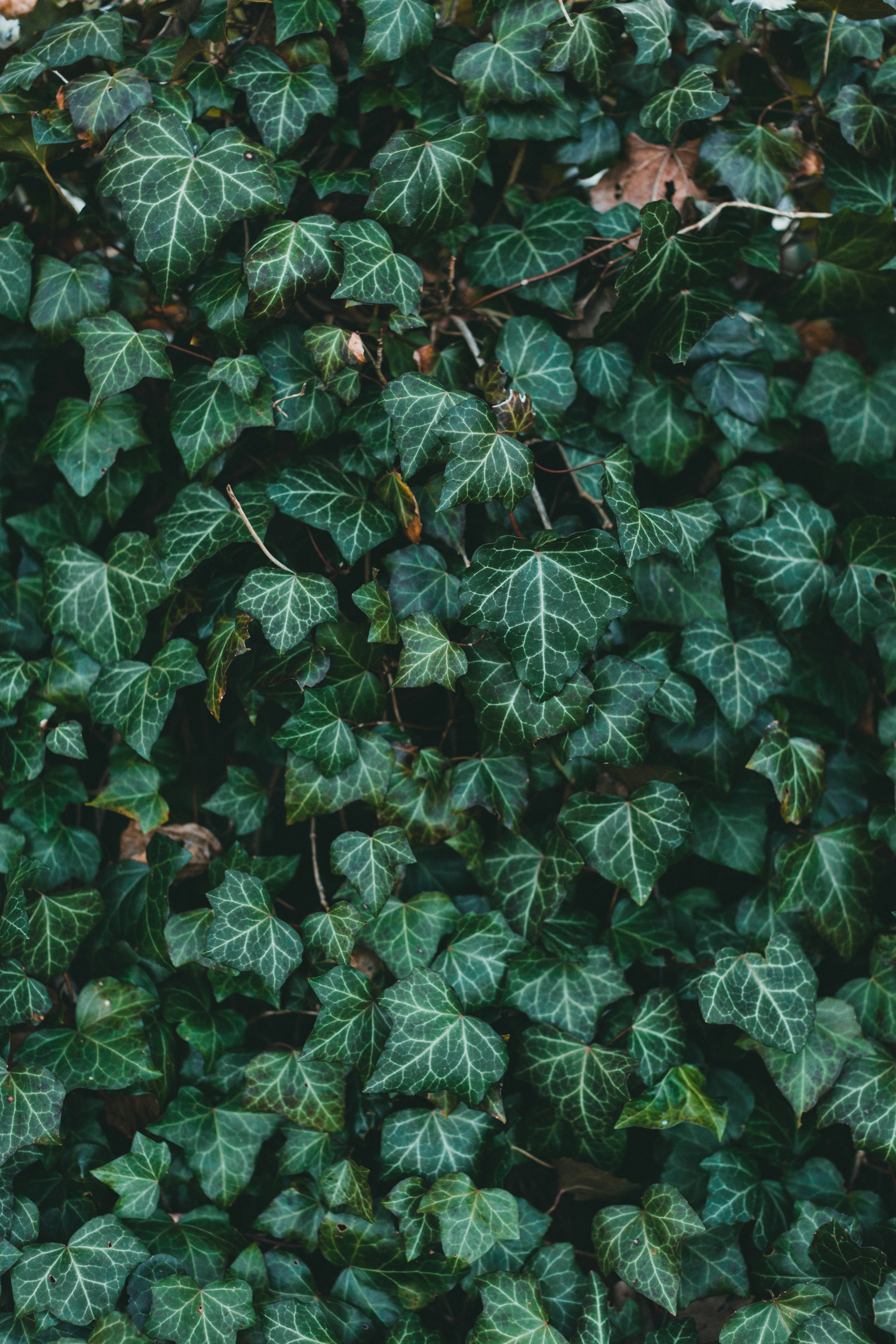 Photo by theshuttervision