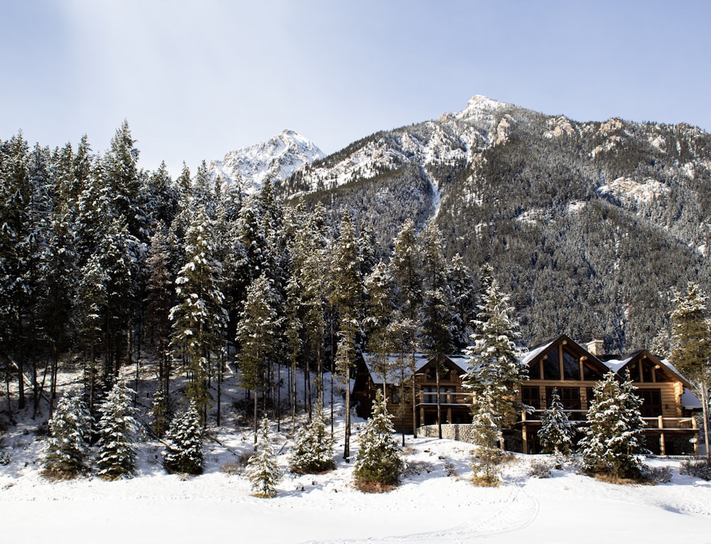 brown wooden house near green trees and snow covered mountain during daytime