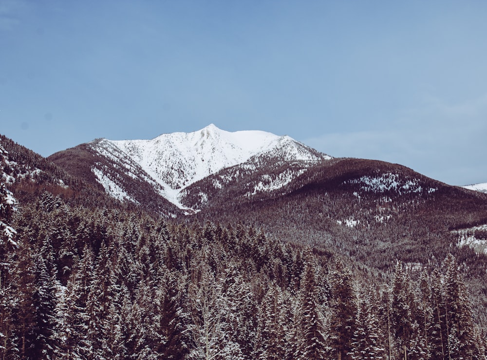 snow covered mountain during daytime