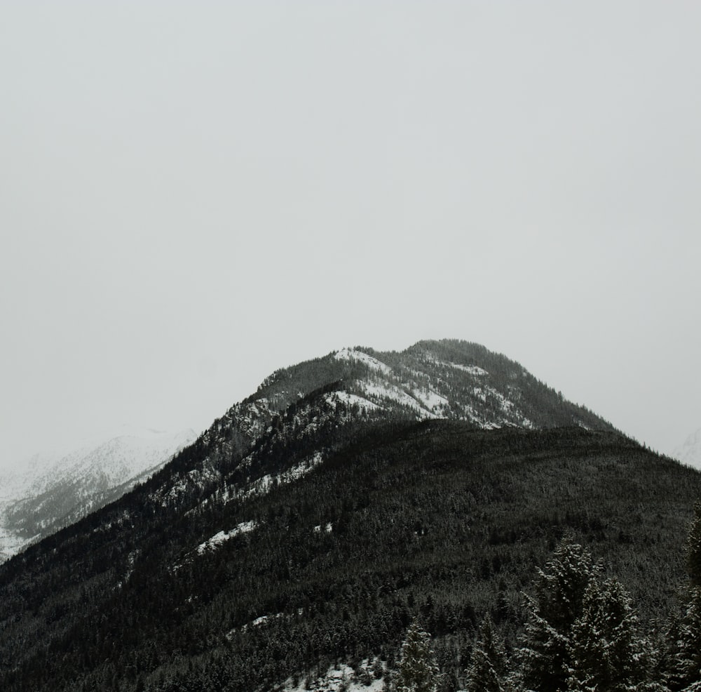 green trees on mountain under white sky during daytime