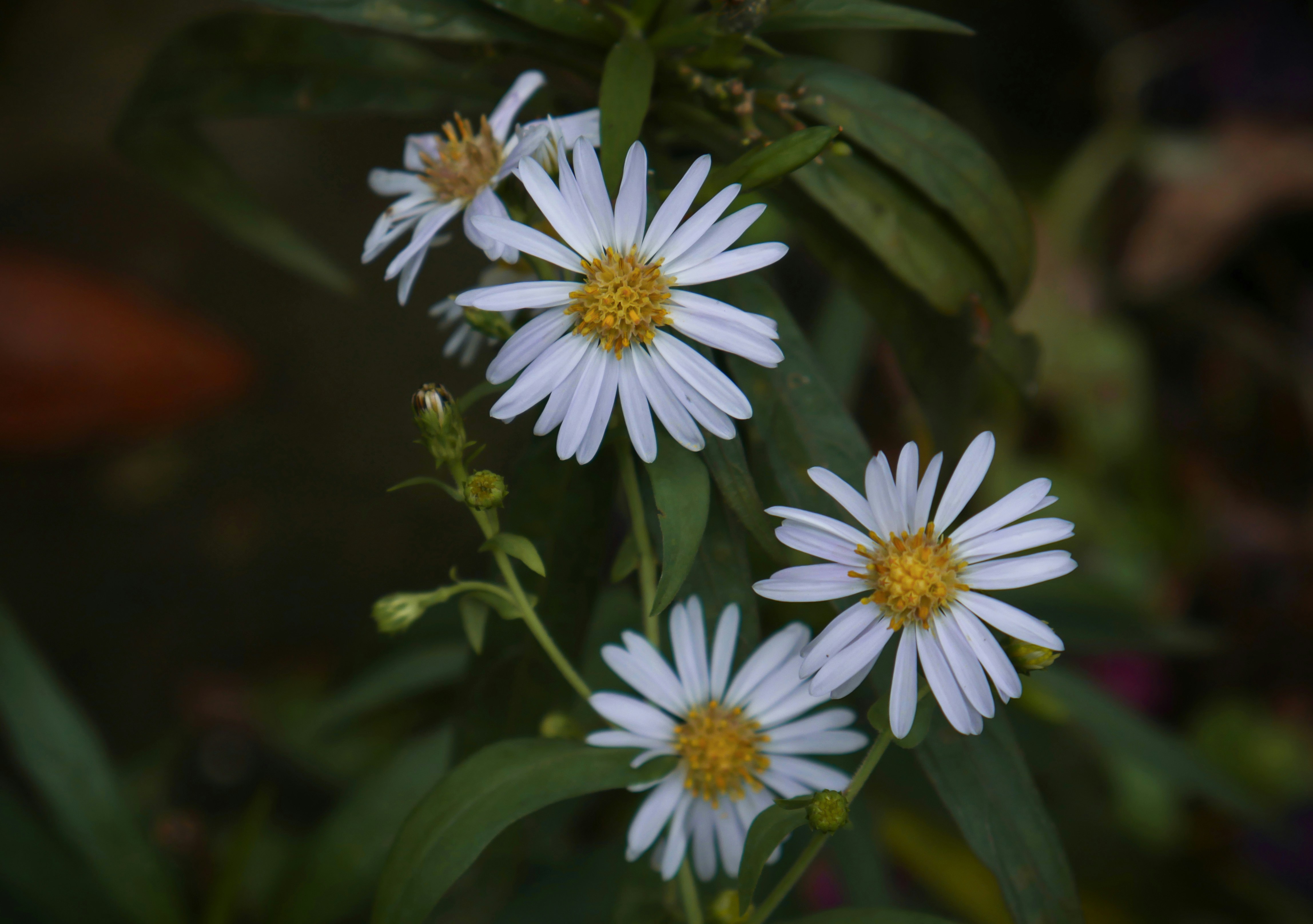 Photo by dark_matter_09