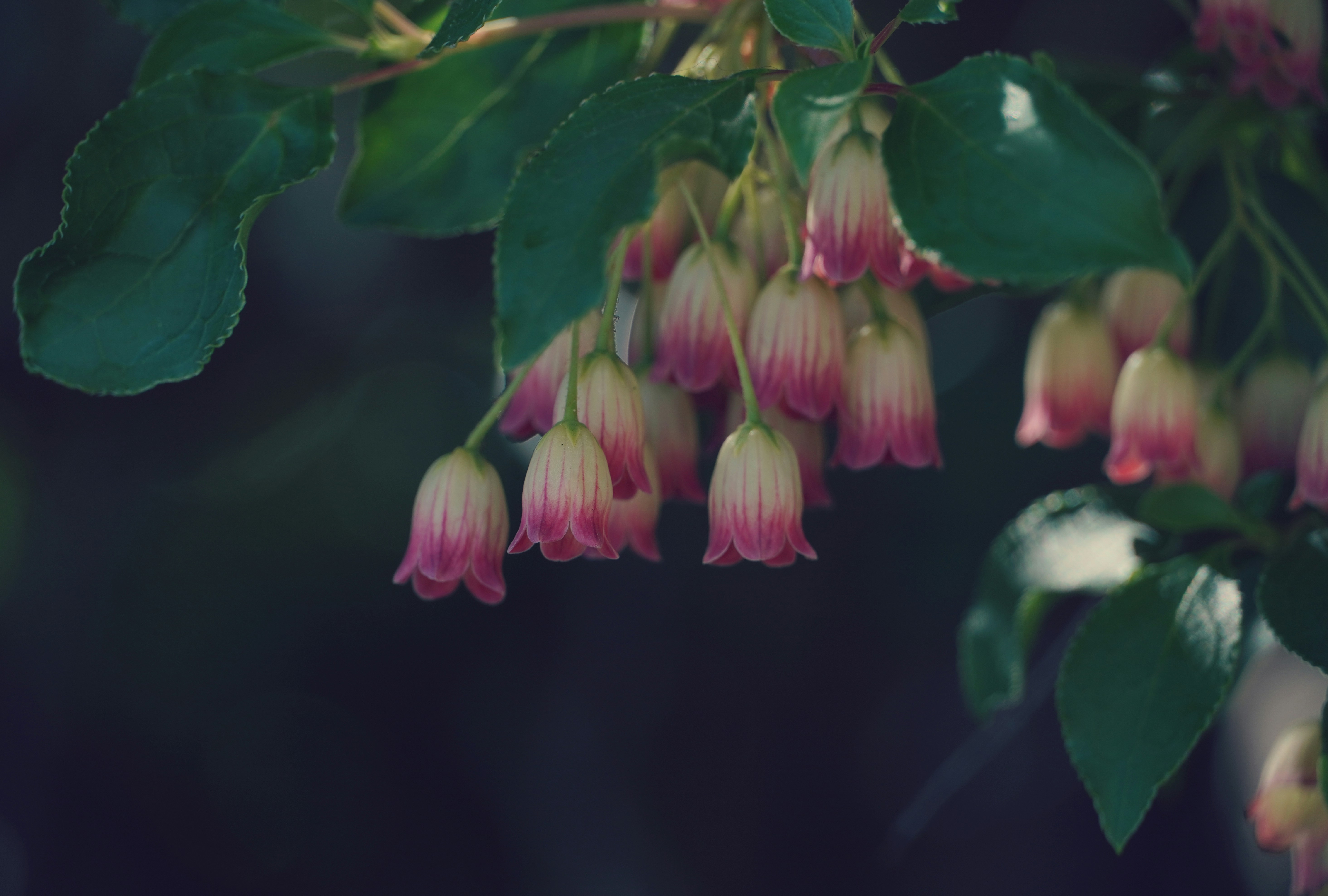 Photo by meinayin