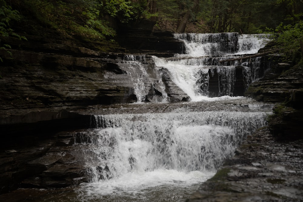 waterfalls in the middle of the forest