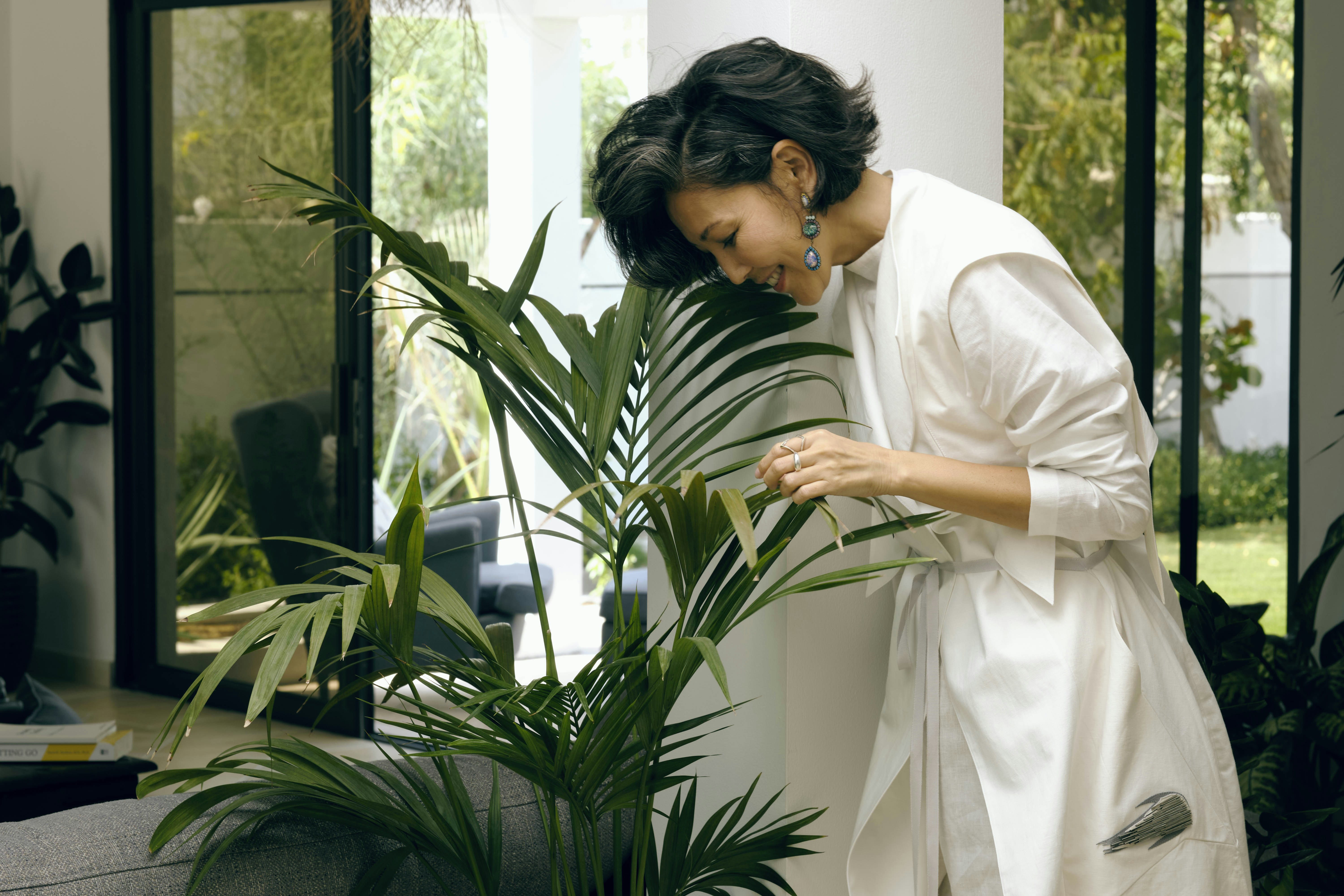 An indoor plant service specialist taking care of houseplants