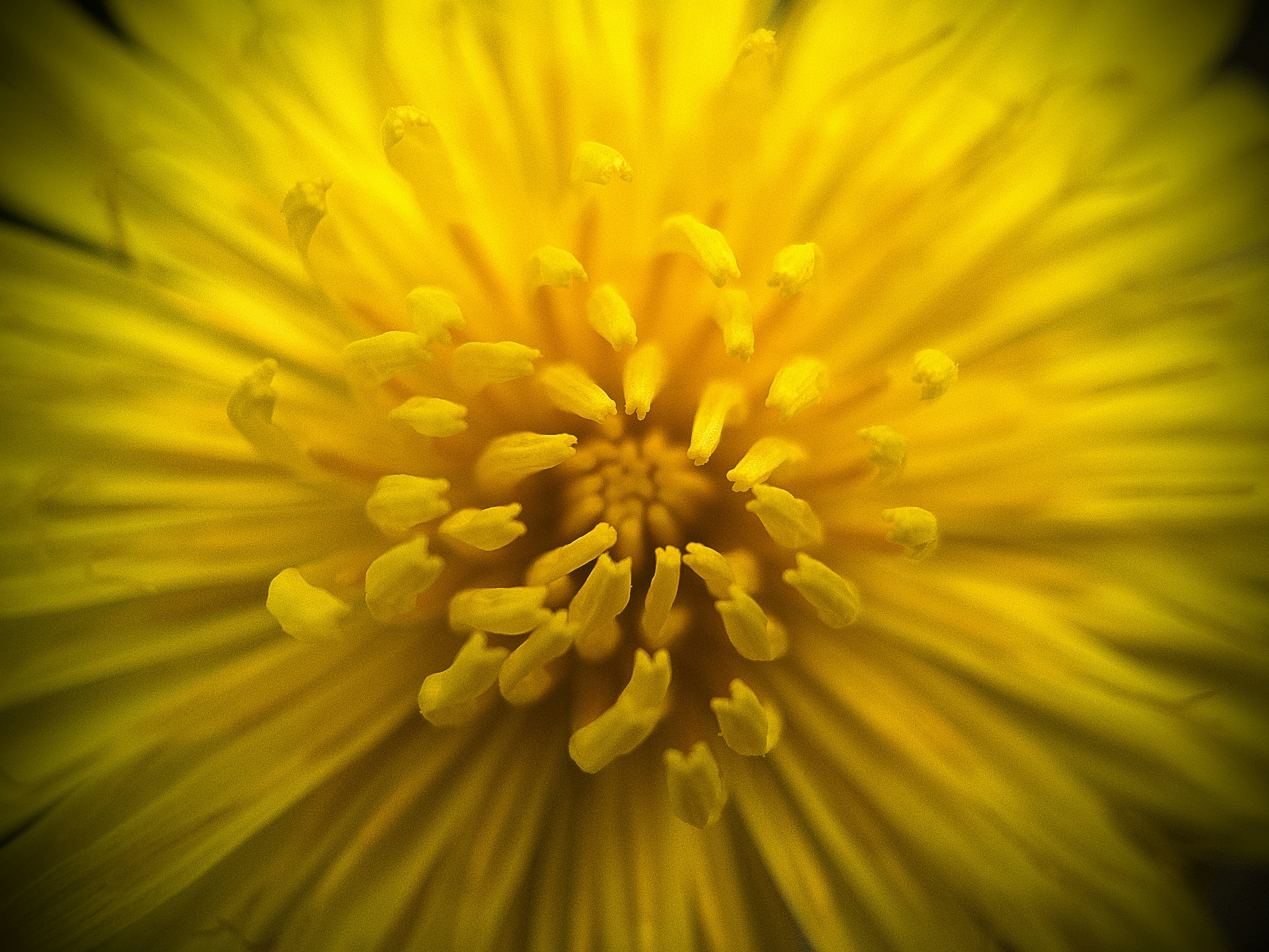 Photo by jindrichsamec