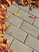 Concrete paving stones arranged in a grid pattern with a cluster of fallen autumn leaves along the edges, showcasing shades of orange, brown, and red.