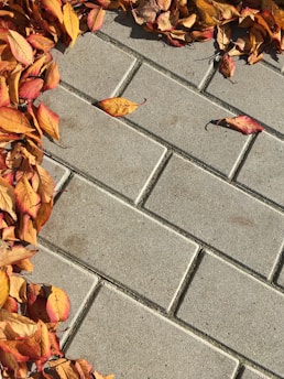Concrete paving stones arranged in a grid pattern with a cluster of fallen autumn leaves along the edges, showcasing shades of orange, brown, and red.