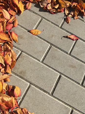 Concrete paving stones arranged in a grid pattern with a cluster of fallen autumn leaves along the edges, showcasing shades of orange, brown, and red.