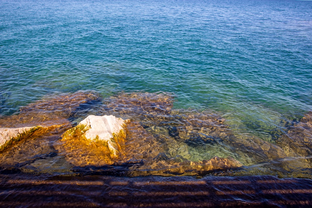 rocha marrom no corpo de água durante o dia