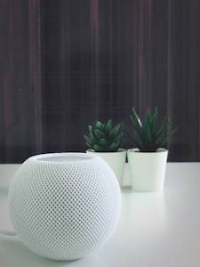 Smart Home Speaker