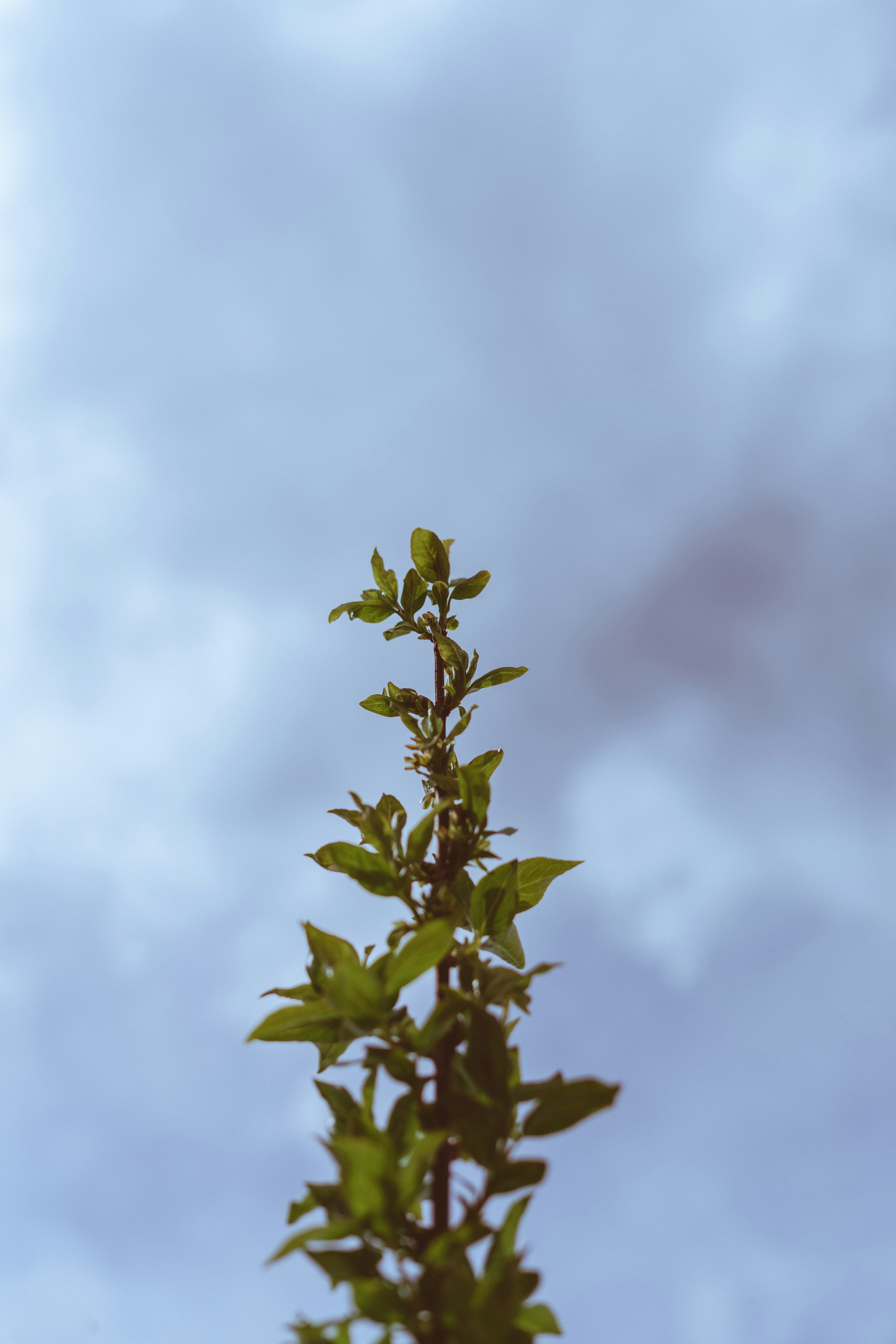 Photo by virussinside