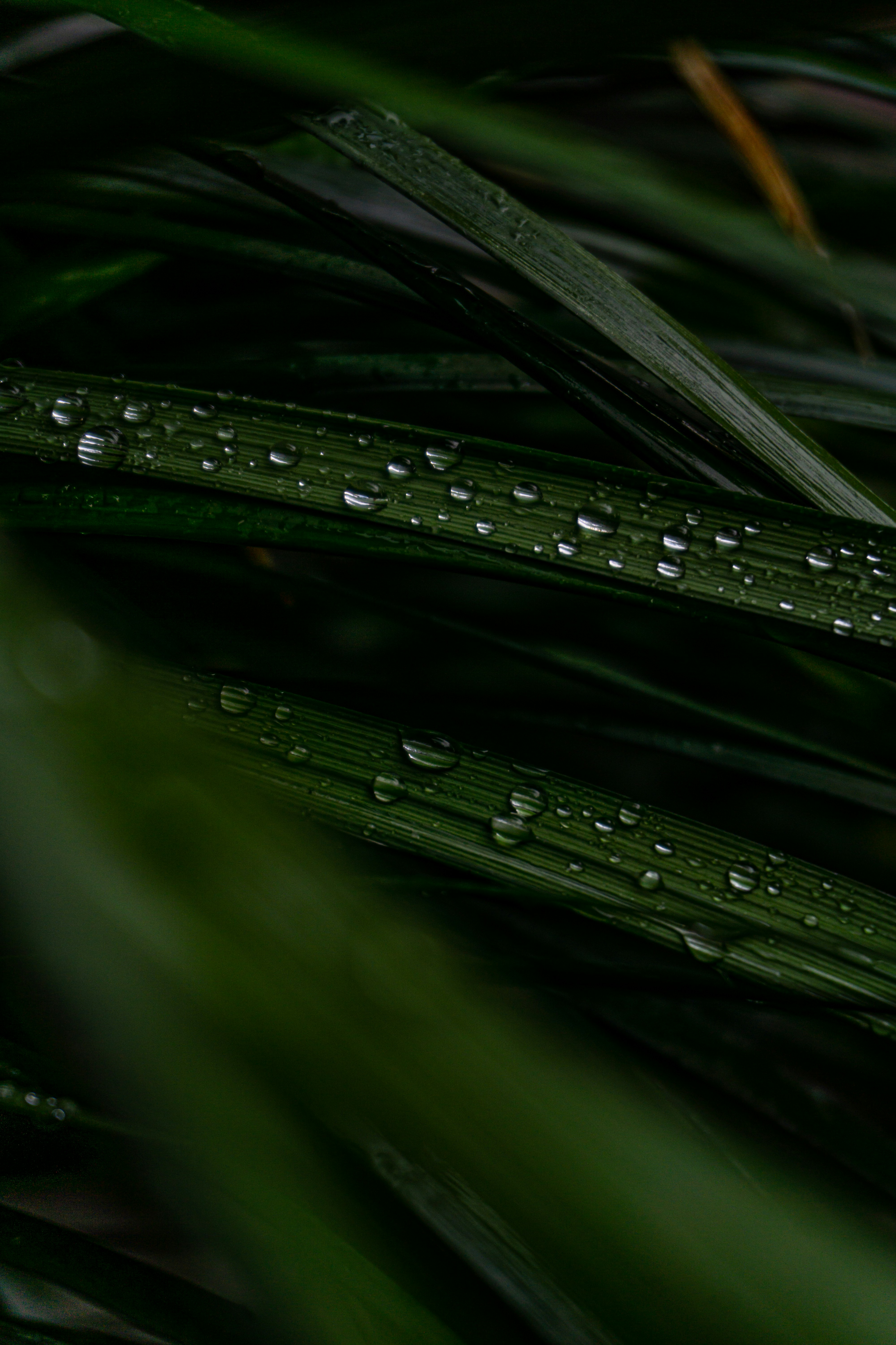 Photo by daniel_joshua_